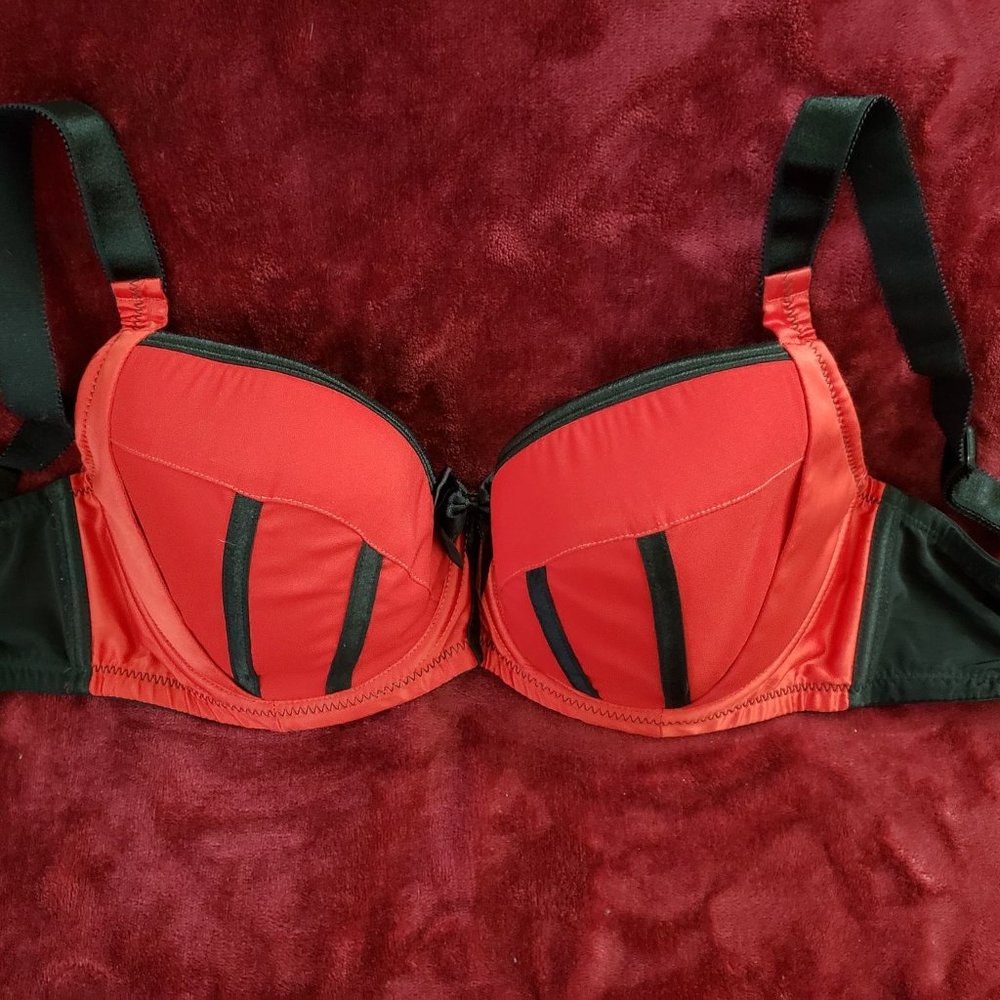Red and Black Padded Bra by Parfait 30FF